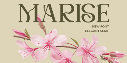 Marise Font Poster 1