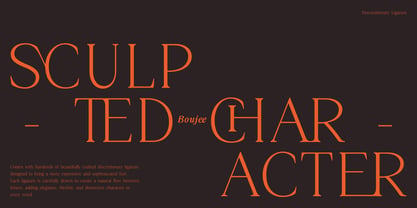 Boujee Font Poster 3