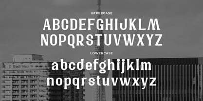 Noggo Font Poster 2