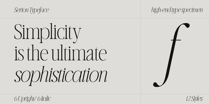 Serion Font Poster 3