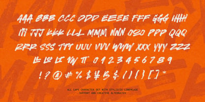Hallfix Marker Font Poster 9