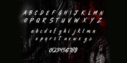 Raize Font Poster 5