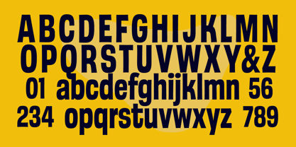 GW Swingstar Font Poster 7