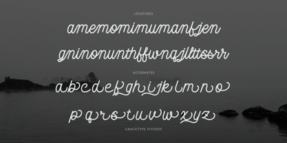 Jenaka Font Poster 12