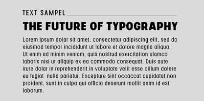Corva Font Poster 4