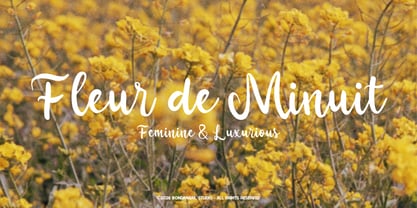Selow Font Poster 2