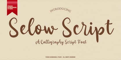 Selow Font Poster 1