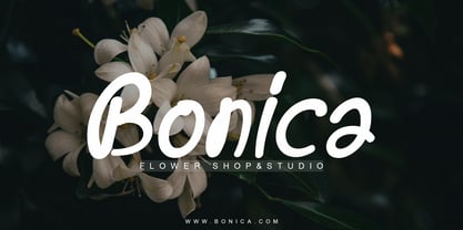 Saloka Font Poster 2