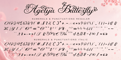 Agetya Butterfly Font Poster 9