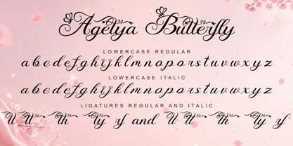 Agetya Butterfly Font Poster 8