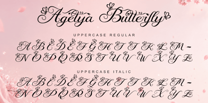 Agetya Butterfly Font Poster 7