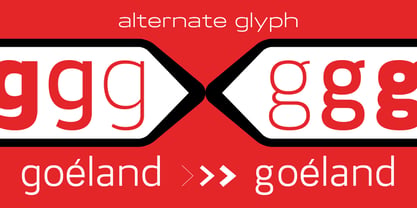 Itinera Variable Font Poster 5
