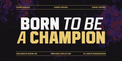 Stryvo Font Poster 2