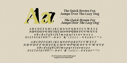 High Strange Font Poster 9