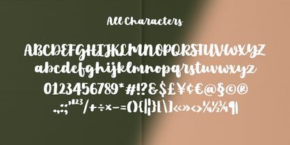 PG Bloomella Font Poster 4