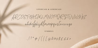 Safielle Font Poster 11