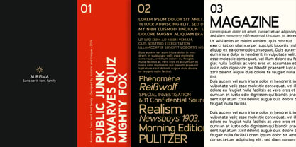 Aurisma Font Poster 15