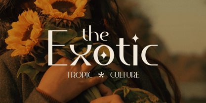 Erowsy Font Poster 9
