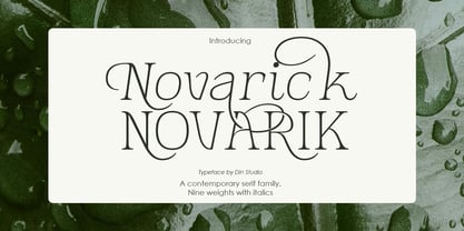 Novarick Font Poster 1