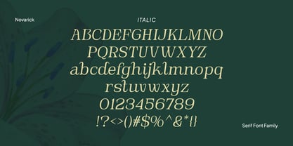 Novarick Font Poster 9