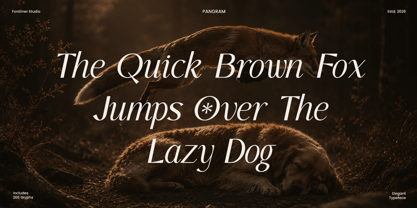 Falore Font Poster 11