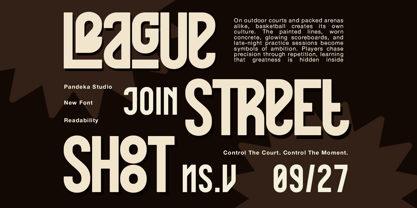 Black Roane Font Poster 7