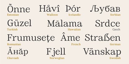 Ancestri Slab Font Poster 11