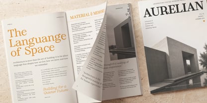 Ancestri Slab Font Poster 2