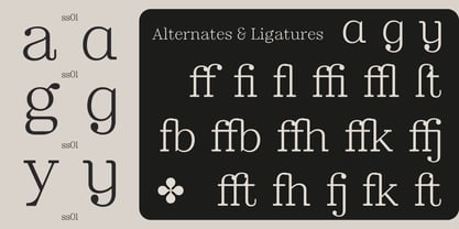 Ancestri Slab Font Poster 3