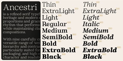 Ancestri Slab Font Poster 5