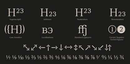 Ancestri Slab Font Poster 8