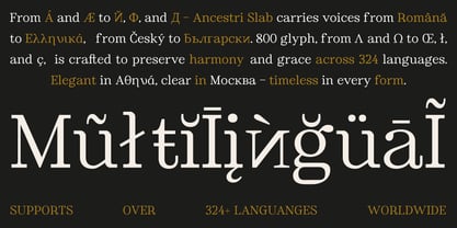 Ancestri Slab Font Poster 9