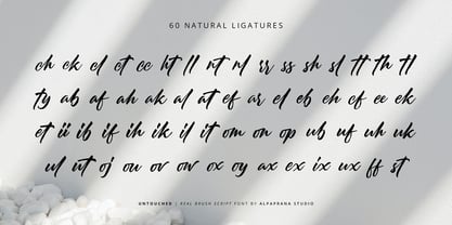 Untouched Font Poster 7