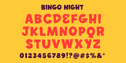 Bingo Night Font Poster 4