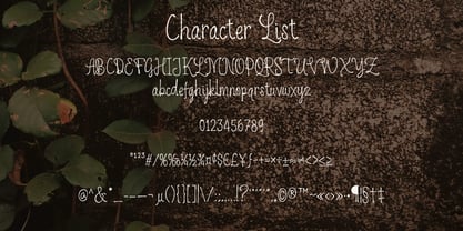 PoetClub Font Poster 4