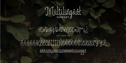 PoetClub Font Poster 11