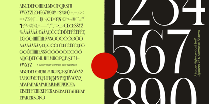Blonare Font Poster 10