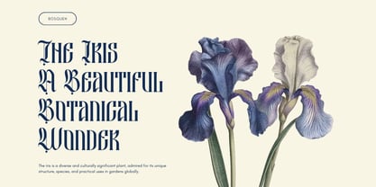 Besquen Font Poster 7