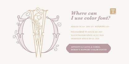 Wedding Calligraphy Font Poster 8