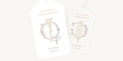 Wedding Calligraphy Font Poster 10