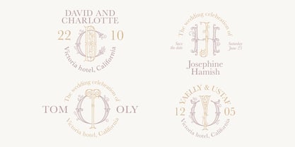 Wedding Calligraphy Font Poster 2