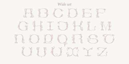Wedding Calligraphy Font Poster 3