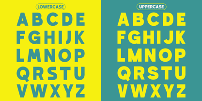 Rain Jungle Font Poster 10