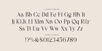 Miscala Aesthetic Font Poster 6