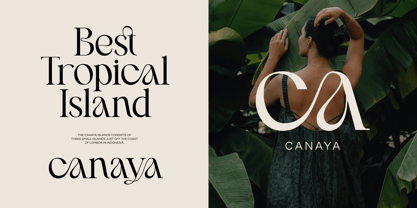 Miscala Aesthetic Font Poster 2