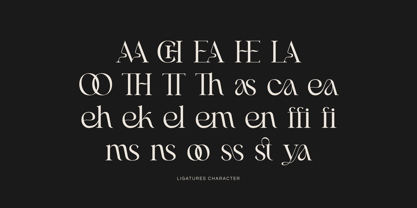 Miscala Aesthetic Font Poster 5