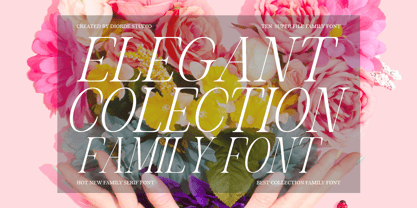 Acreme Bloom Font Poster 9