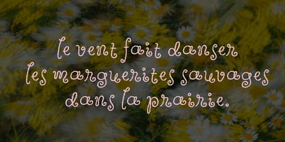 Wildflower Garden Font Poster 7