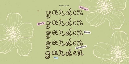 Wildflower Garden Font Poster 3