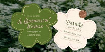 Wildflower Garden Font Poster 2